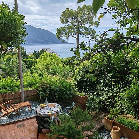 B&B La Taverna Di Mulinetti Рекко Экстерьер фото